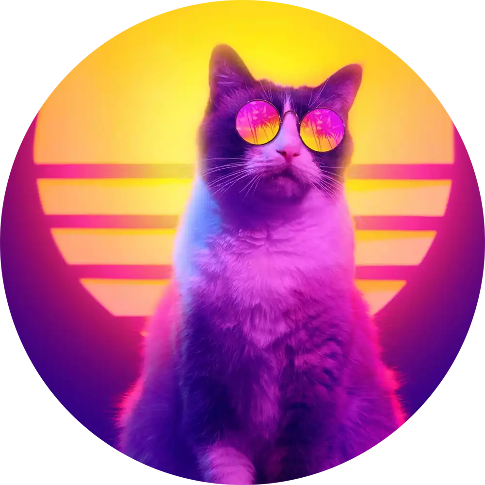 Webdesigner des Jahres: Ben Steinberg